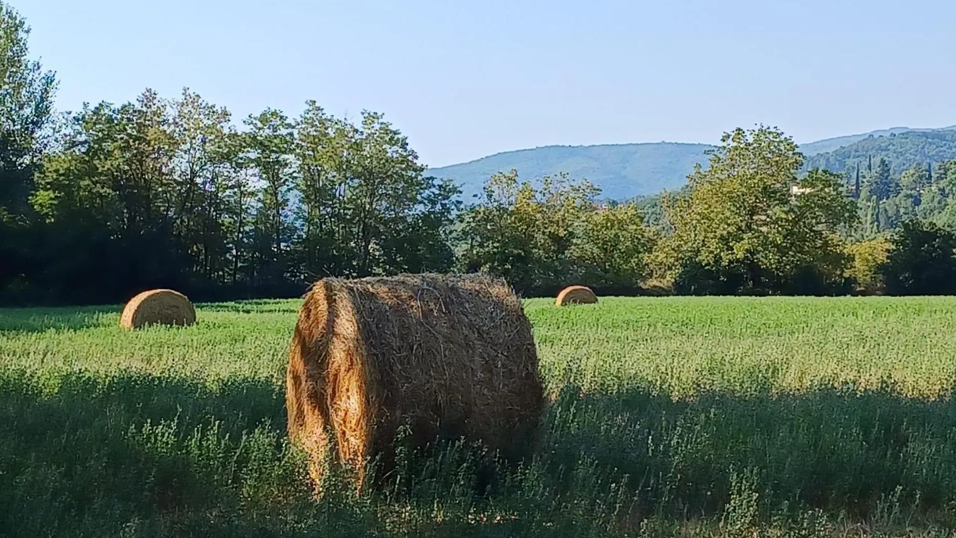 La Casetta Di Noah Pratovecchio Stia